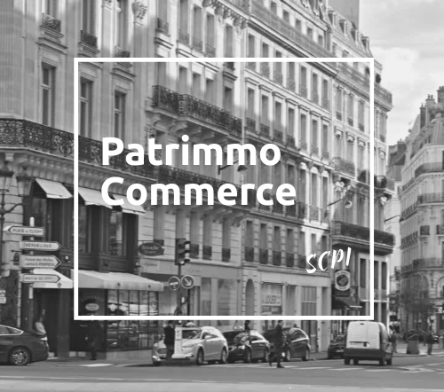 Patrimmo Commerce